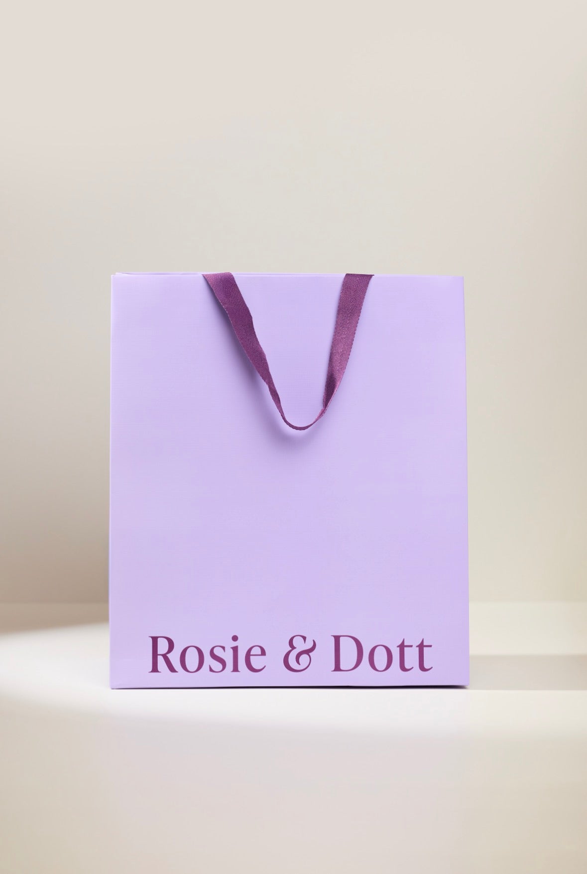 Large Gift Bag