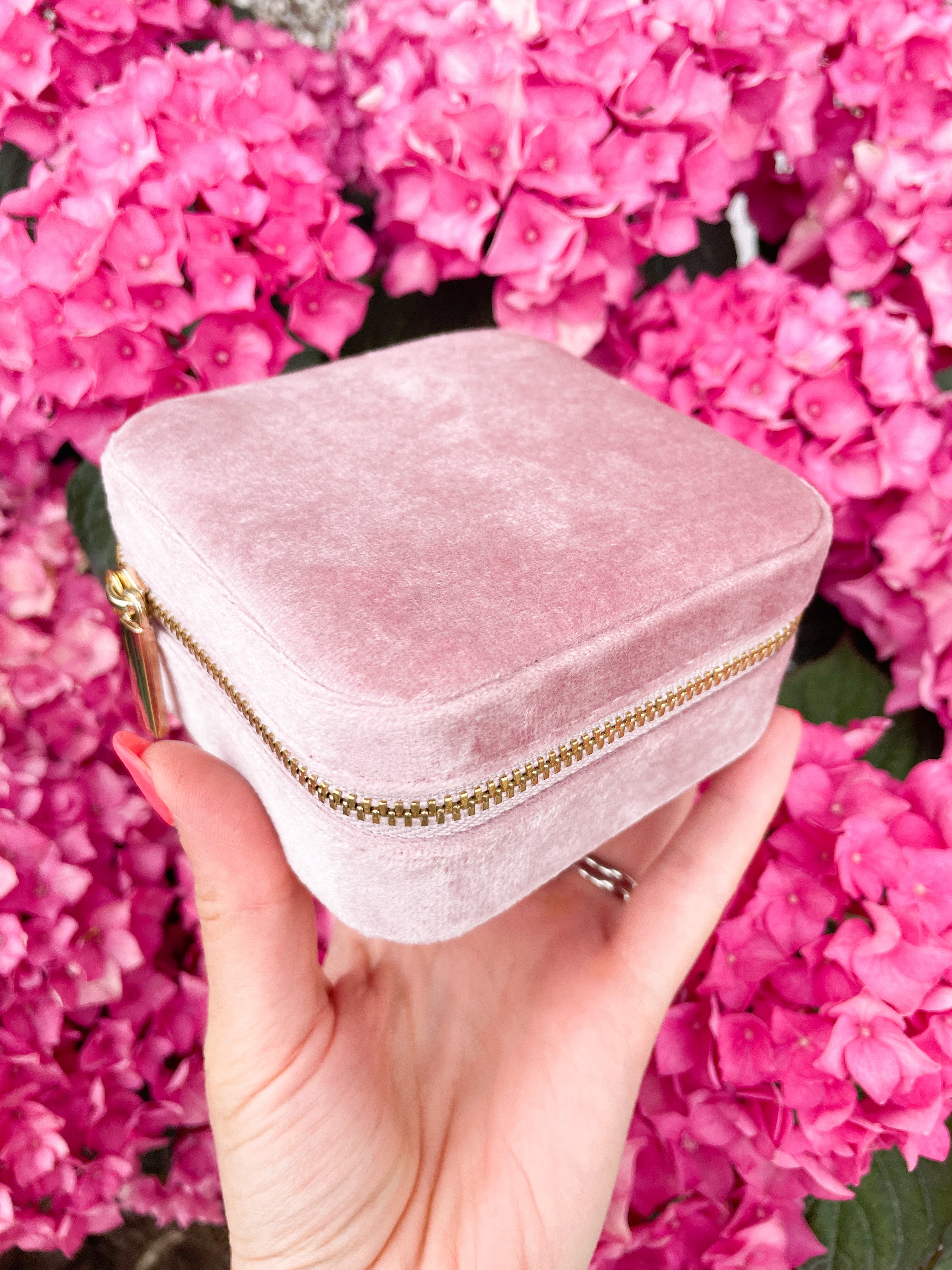 Blush Travel Case