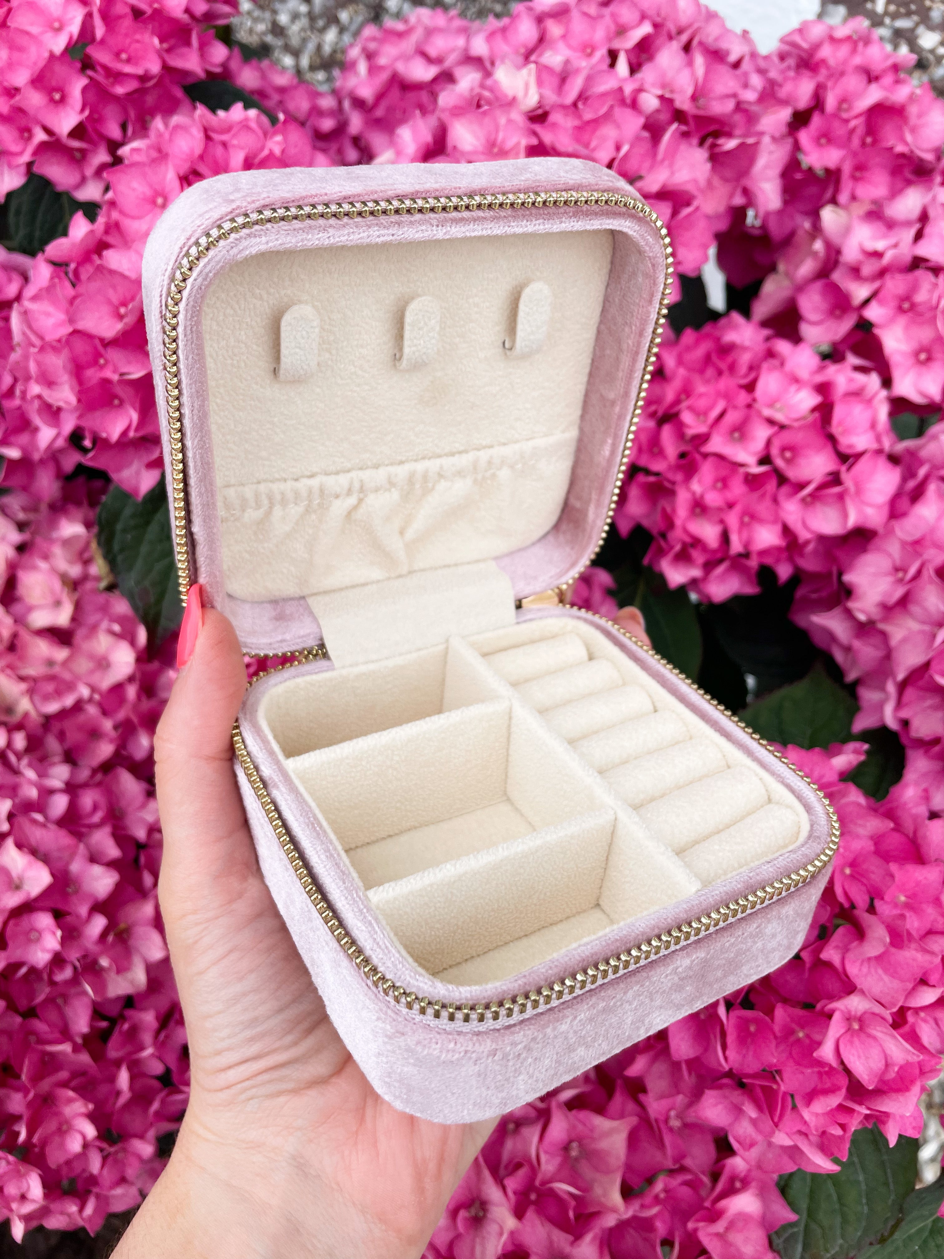 Blush Travel Case