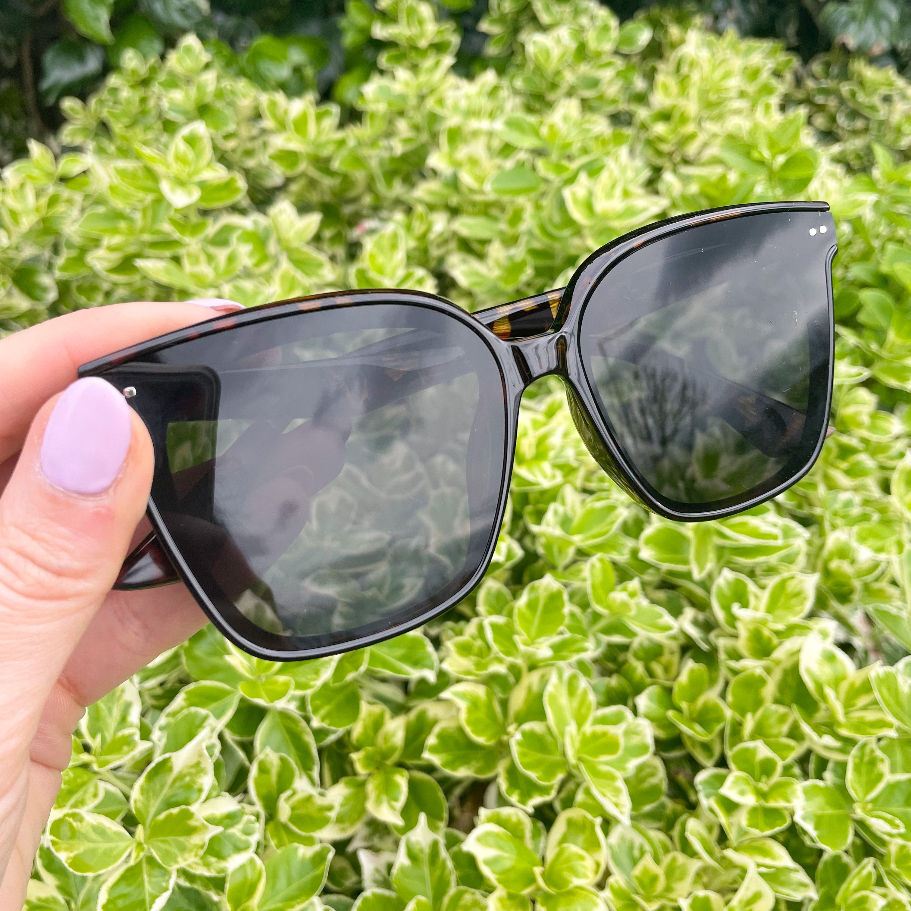 Sorrento Shades (Leopard)